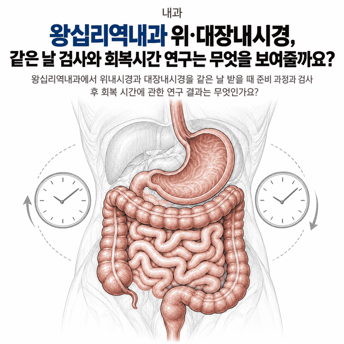 서울 왕십리역내과 위·대장내시경, 같은 날 검사와 회복시간 연구는 무엇을 보여줄까요 핵심 정보 이미지